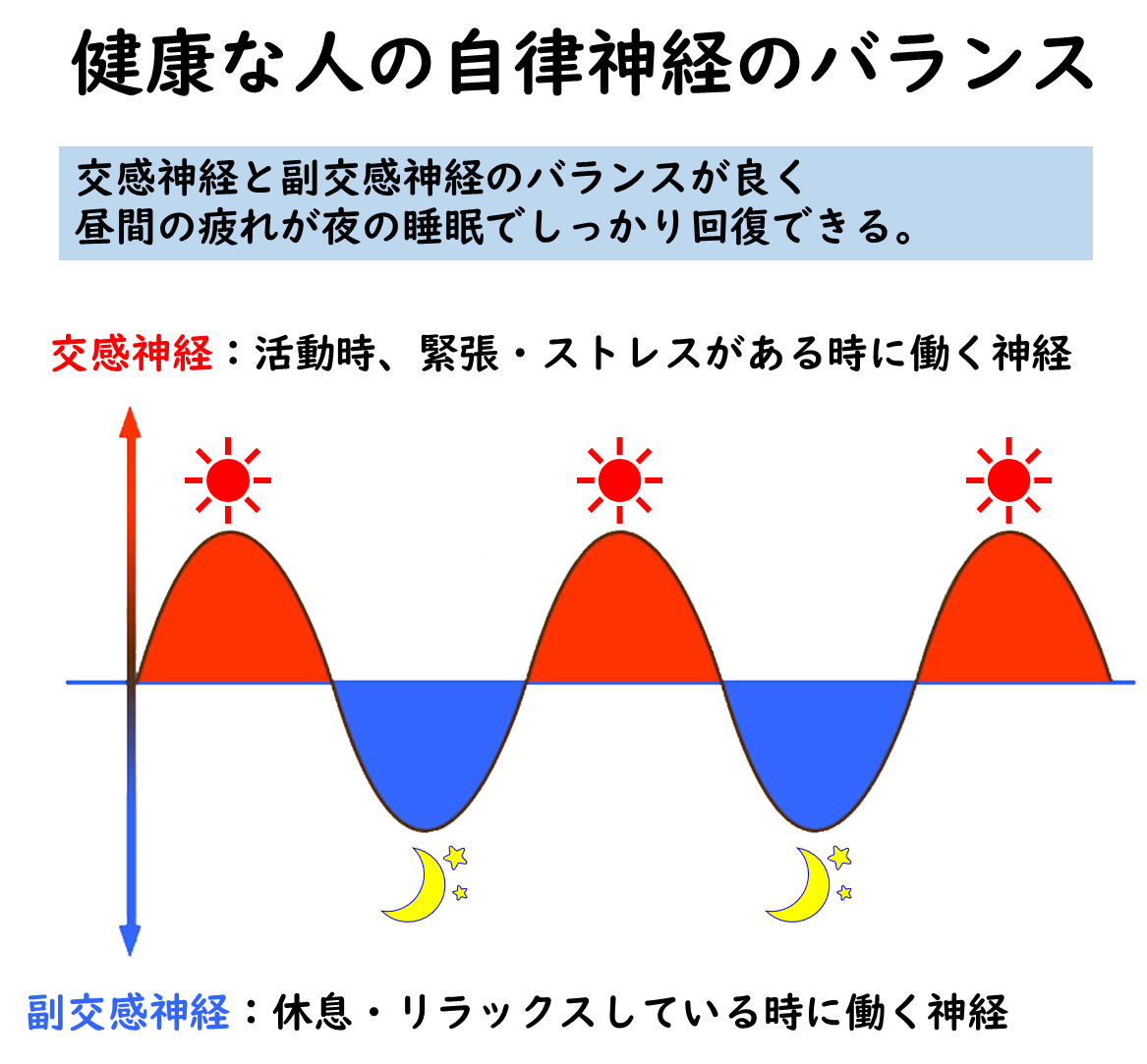 交感神経と副交感神経とは 松山市の愛youカイロプラクティック院のホントの話